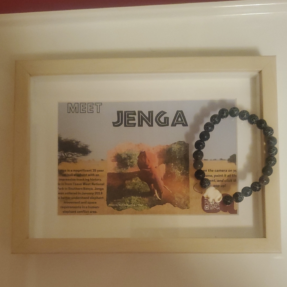 Elephant Adoption/Tracker And Bracelet